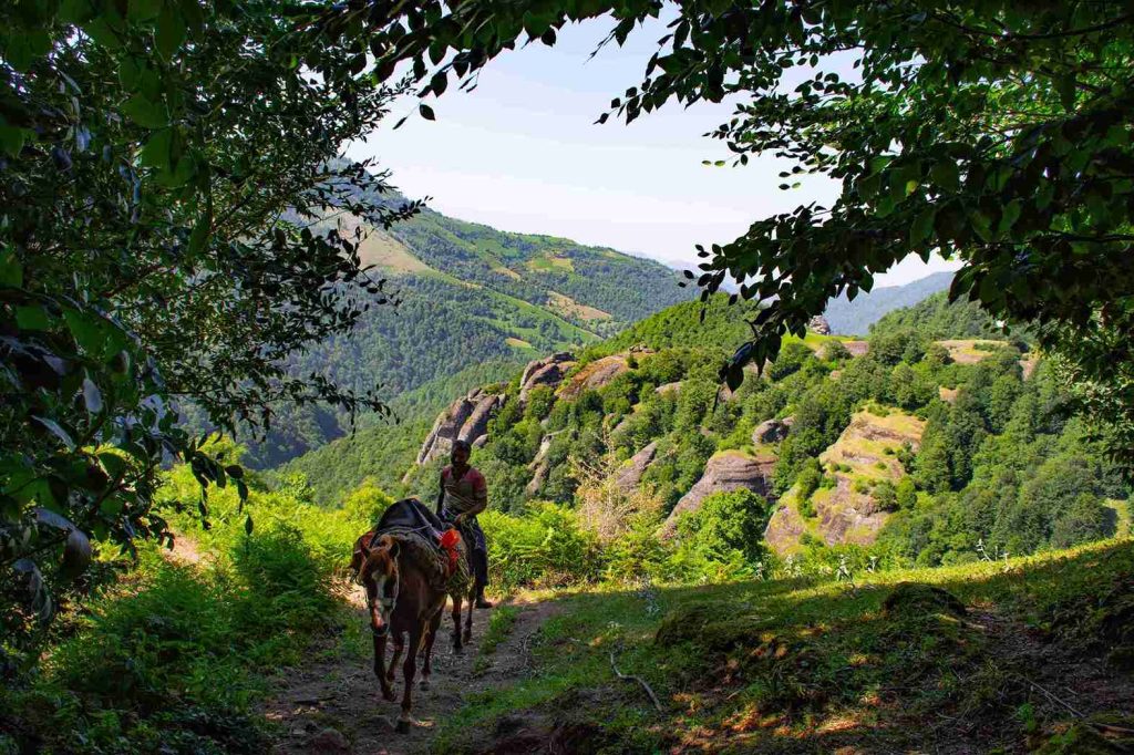 ژانر عکاسی طبیعت