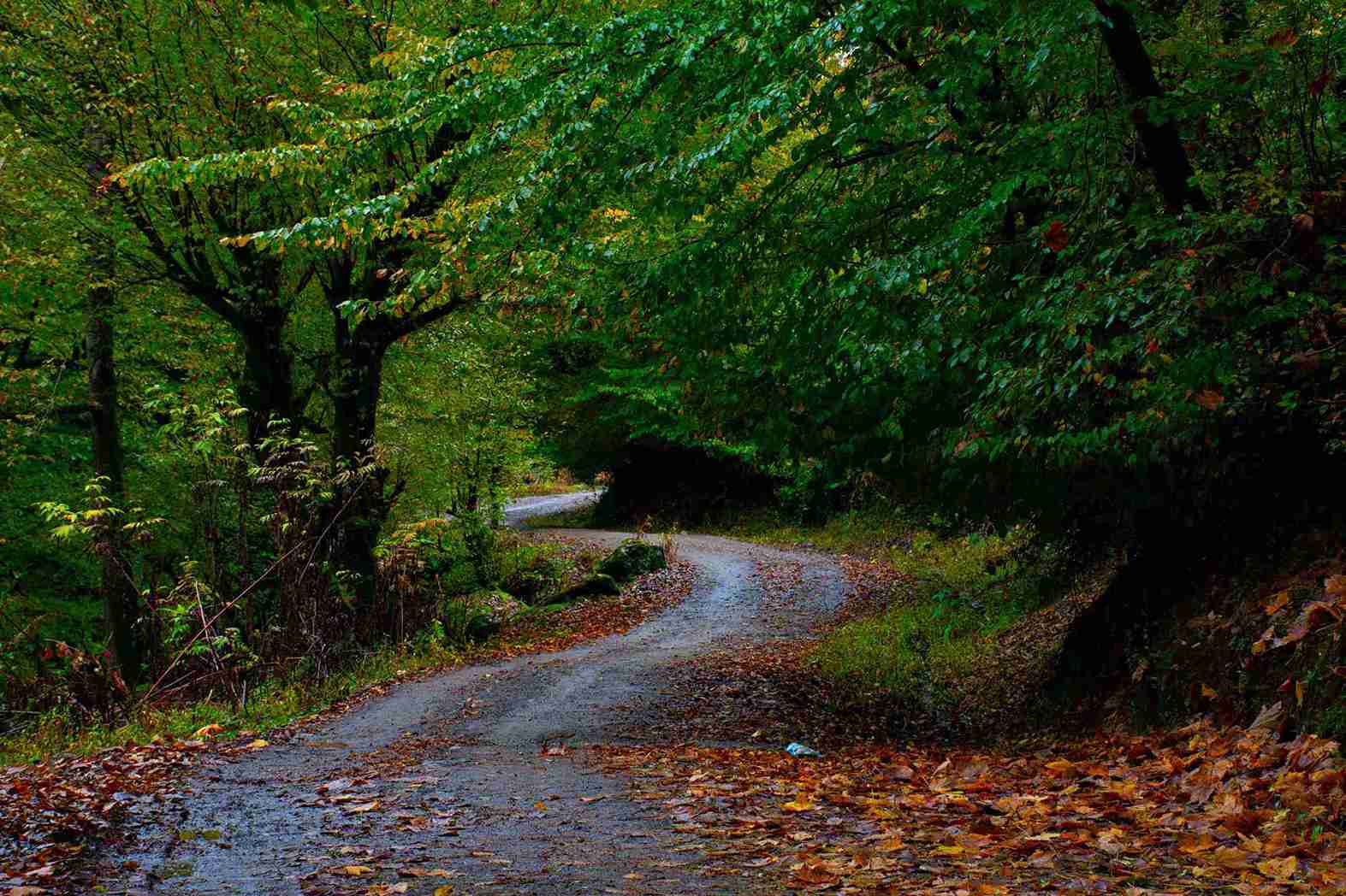 آموزش عکاسی در پاییز