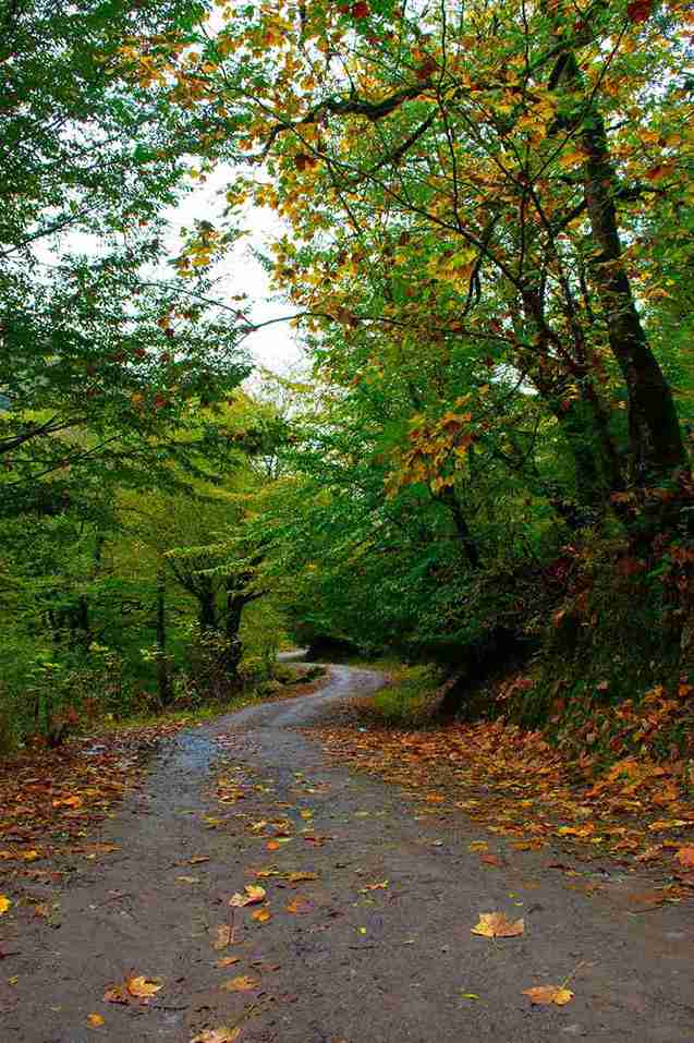 عکس پاییزی با موبایل