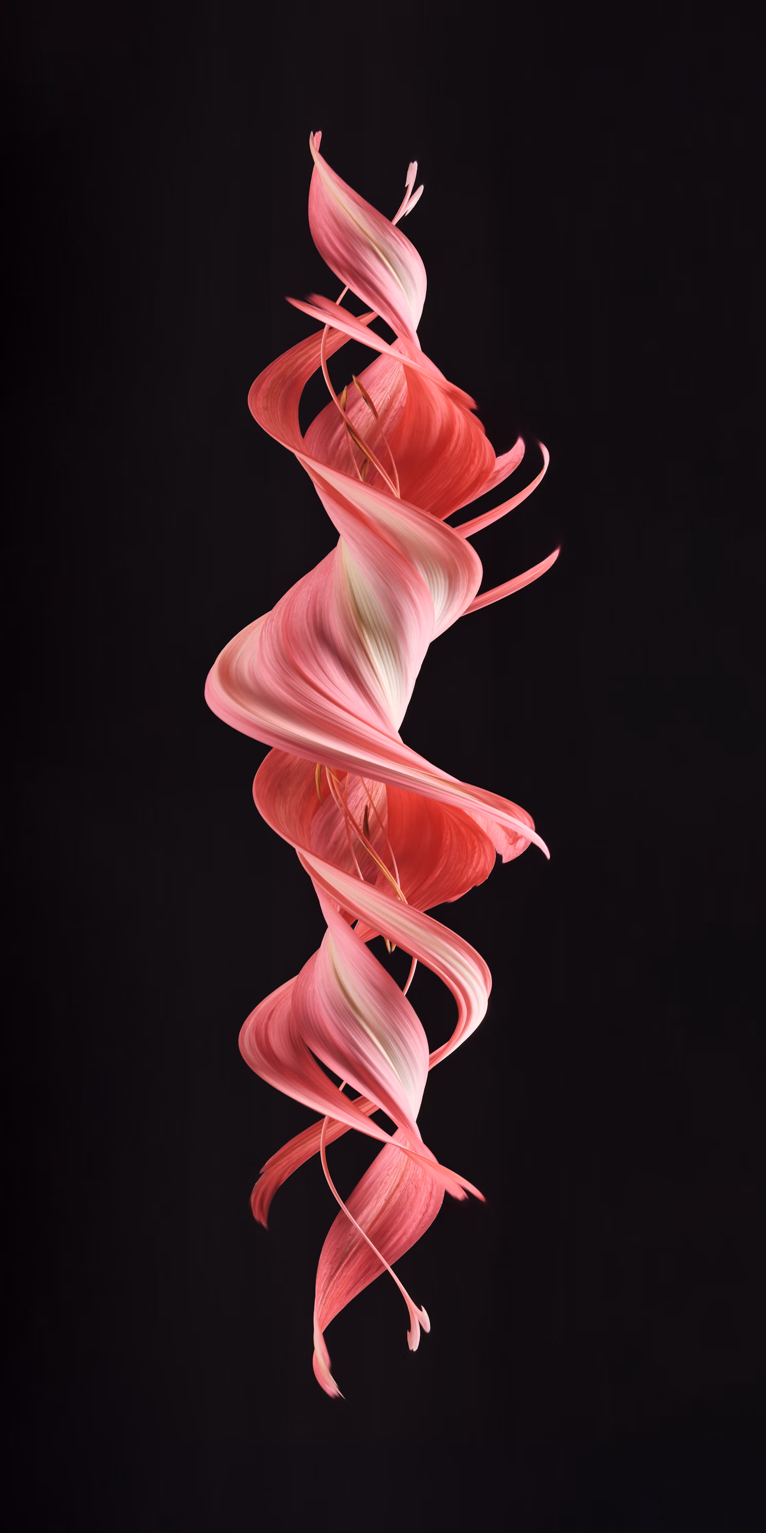 fine art photography gallery (7)