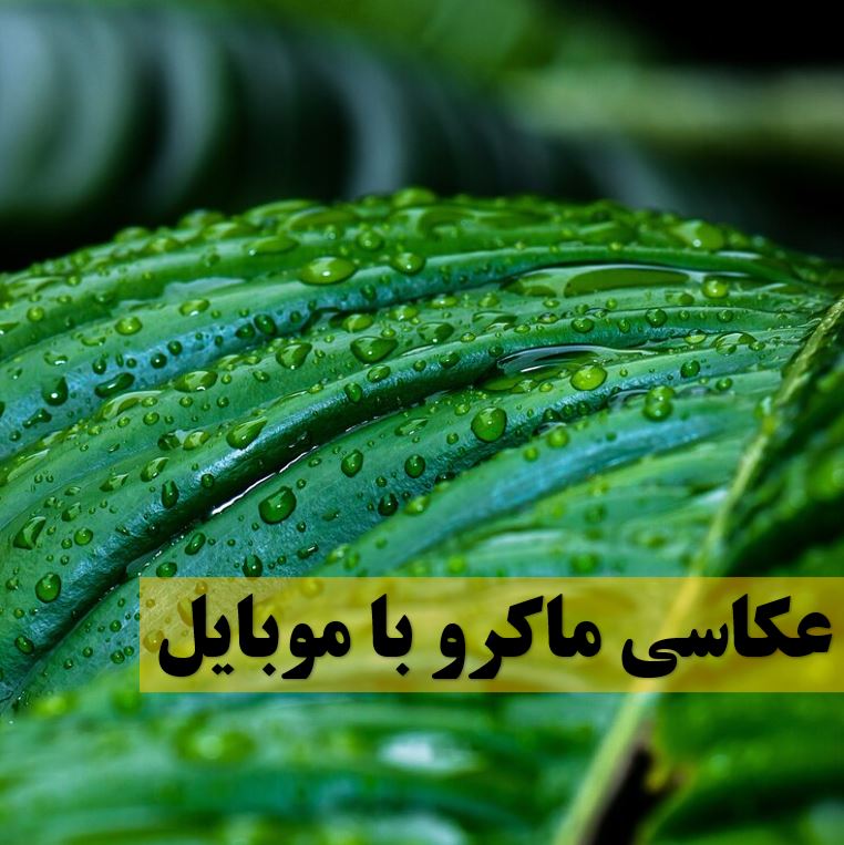عکاسی-ماکرو-با-موبایل
