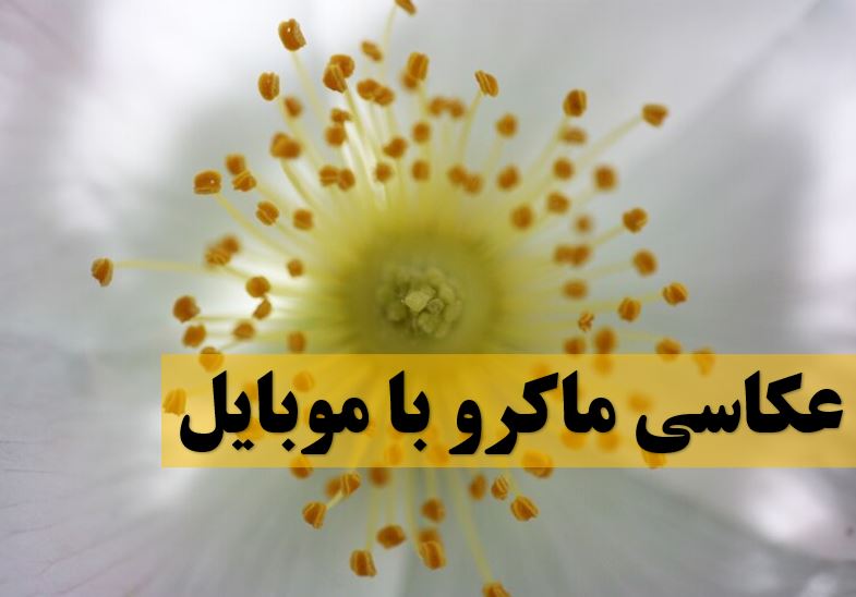 عکاسی ماکرو با موبایل