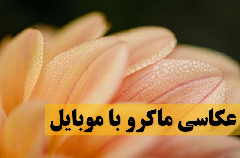 عکاسی ماکرو با گوشی موبایل