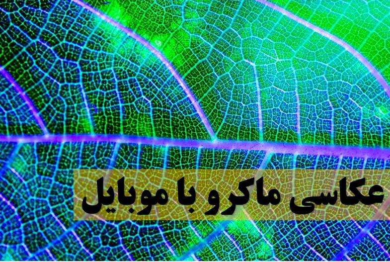 عکاسی ماکرو با گوشی