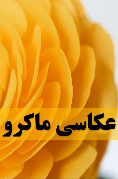 عکاسی_ماکرو