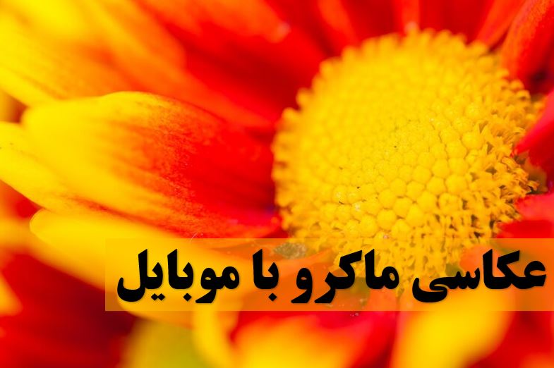عکسی_ماکرو_موبایل