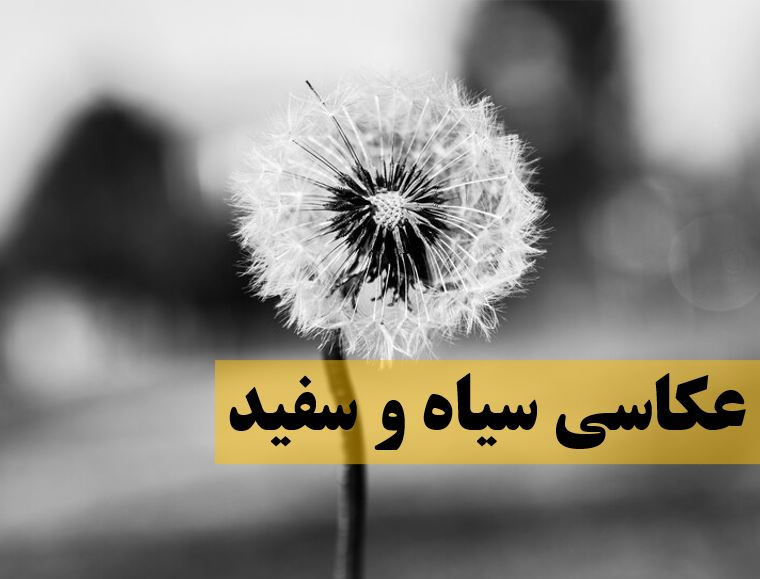 white&black-photography