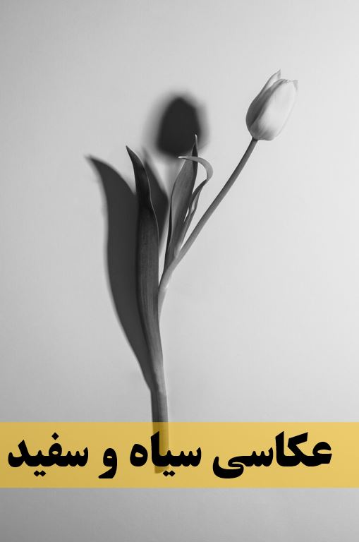 white&black-photography1